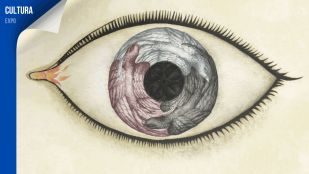 Wunderkammer Ana Juan