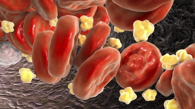 an&aacute;lisis de sangre enfermedades