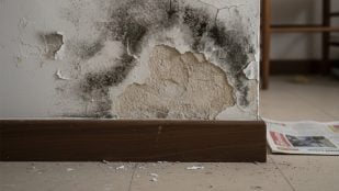 Mantener la casa sin humedad