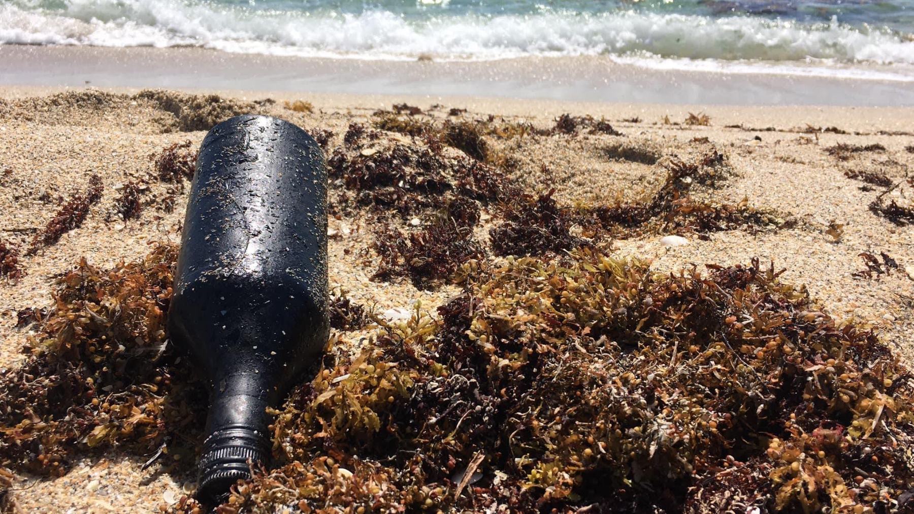 Botella de vidrio recubierta de residuos de petróleo. (Foto: Diane Buhler, Amigos de Palm Beach).