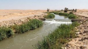 Representación de un río desértico con ecosistemas