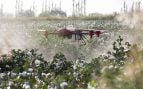 Uso de drones en agricultura, drones para frenar plagas agrícolas en España, Argentina usar drones para combatir plagas en citricultura, drones y control de plagas en el sector agrario, plagas de mosca del Mediterráneo.