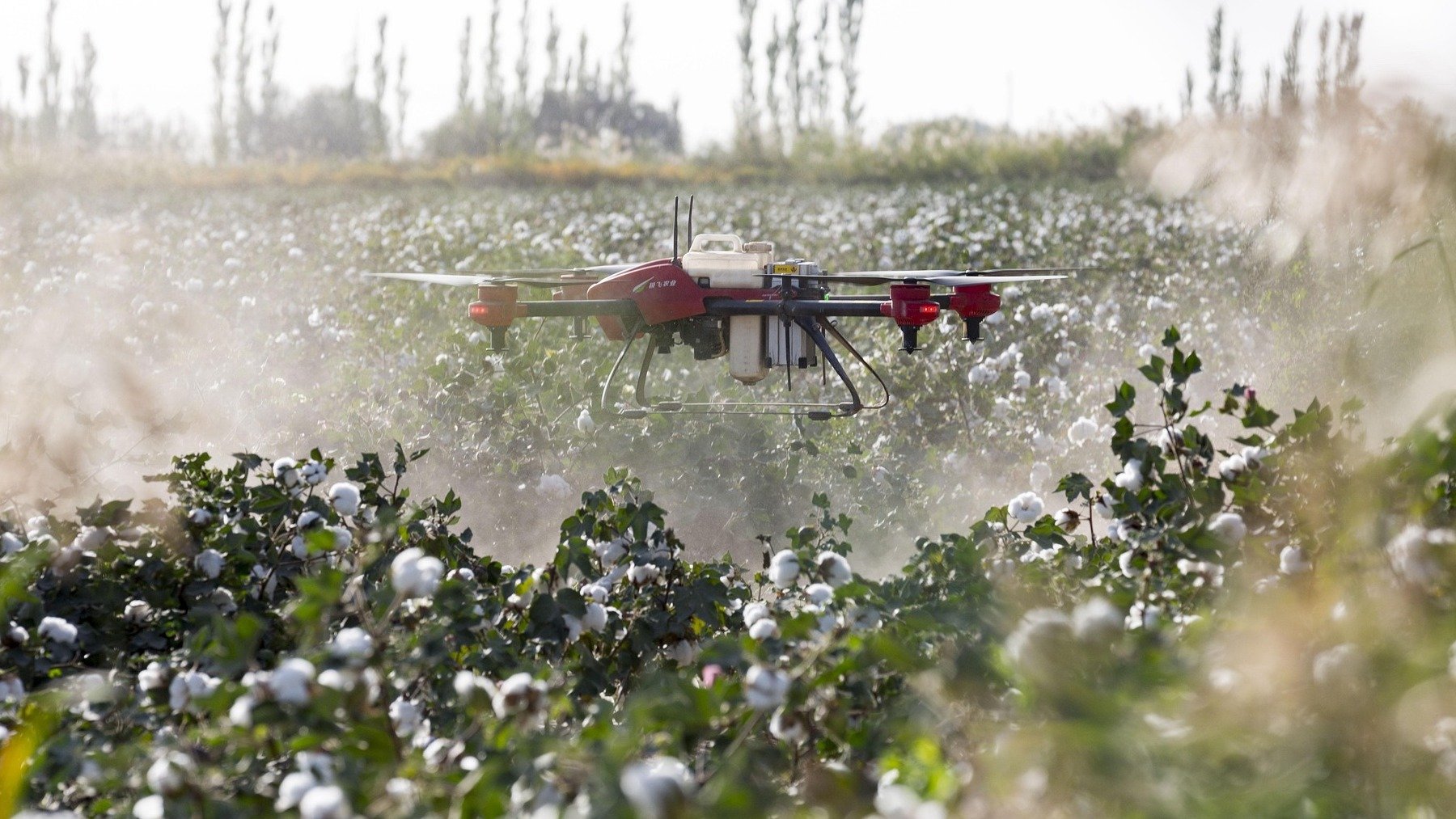 Dron en agricultura.
