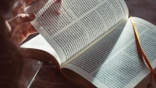 Cuál es el participio correcto de proveer según la RAE, proveído o provisto en español, dobles participios en español, participios con doble terminación según la RAE, la RAE sobre proveído, proveído es correcto en español para la RAE.