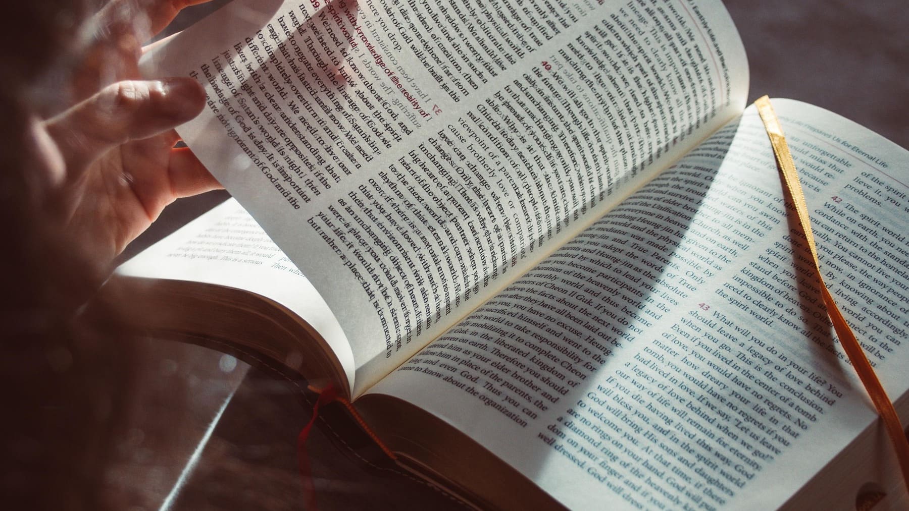 ¿Cómo se dice en español,