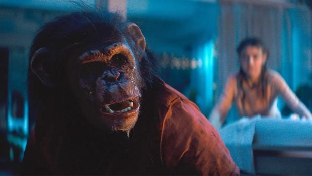 estrenos febrero cumbres borrascosas