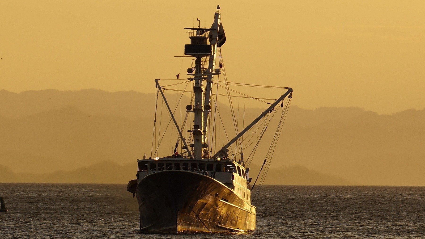 Suena raro, pero la ciencia lo avala: los pescadores usan tecnología de vanguardia para capturar peces gigantes