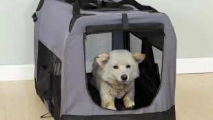 Bolsa de transporte para mascotas