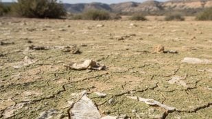 regenerar suelos áridos