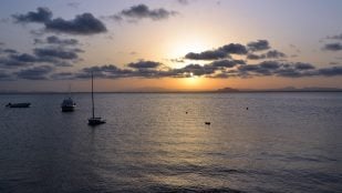 Idioma árabe de la región de Murcia, qué es el panocho, panocho y Murcia, panocho huerta murciana, idioma de la huerta de Murcia, diferencias entre dialecto murciano y panocho, lengua panocha, panocho.