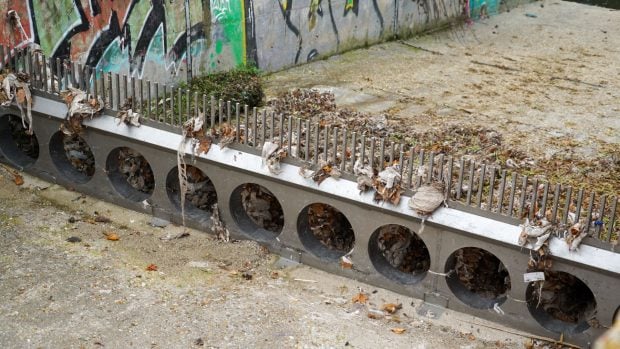 Toallitas provocando atascos en el Canal de Isabel II. (Foto: Comunidad de Madrid).