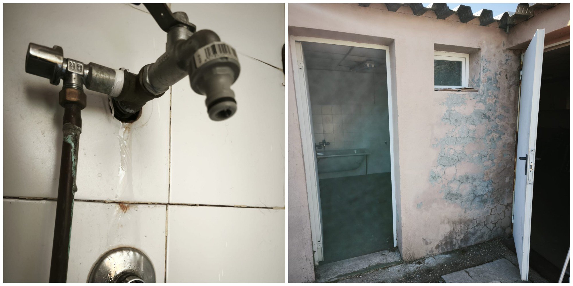 Un grifo en el interior de un chenil perdiendo agua, e instalaciones con moho.