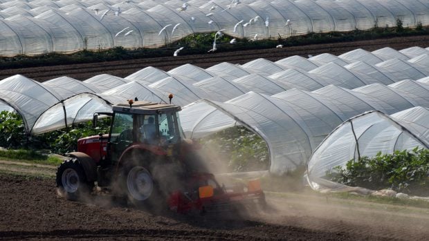 La era del hambre oculta: esta es la raz&oacute;n por la que los alimentos ya no nos nutren igual que antes