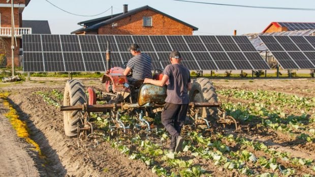 La era del hambre oculta: esta es la raz&oacute;n por la que los alimentos ya no nos nutren igual que antes