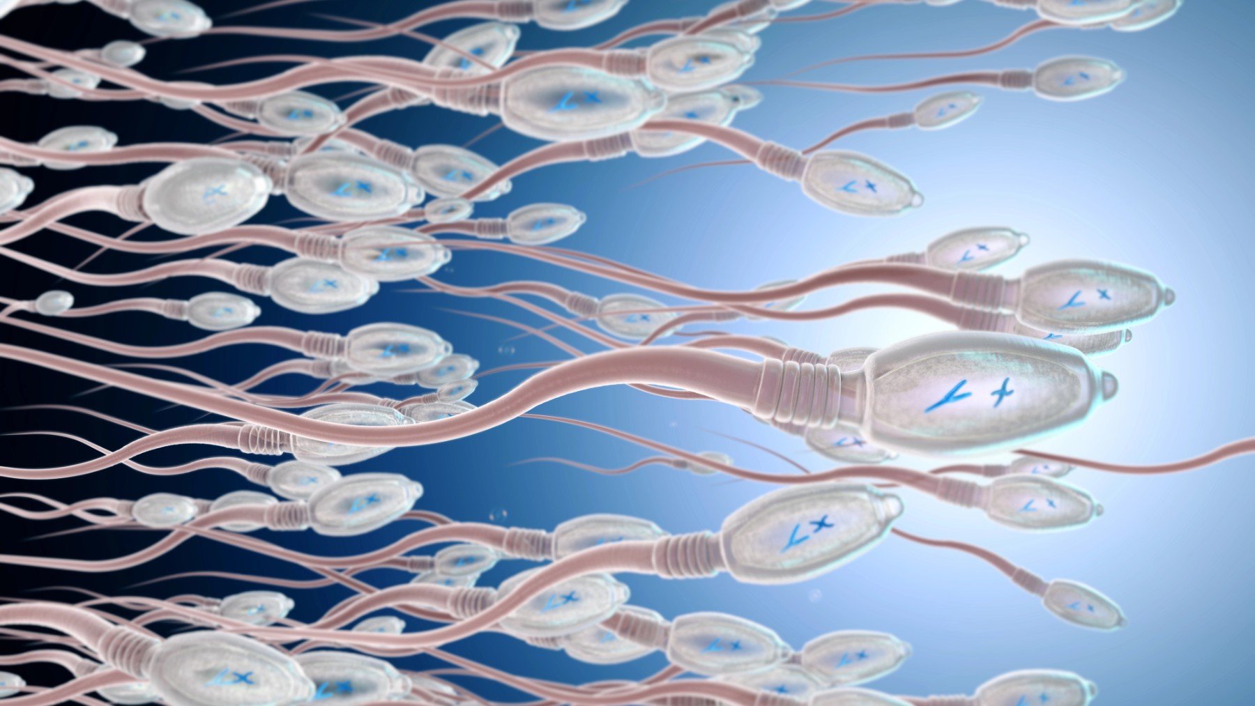 La regla de las 21 eyaculaciones, según un urólogo: Protege frente al cáncer de próstata