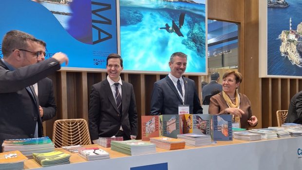 Santany&iacute; Fitur