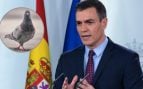 Pedro Sánchez y palomas