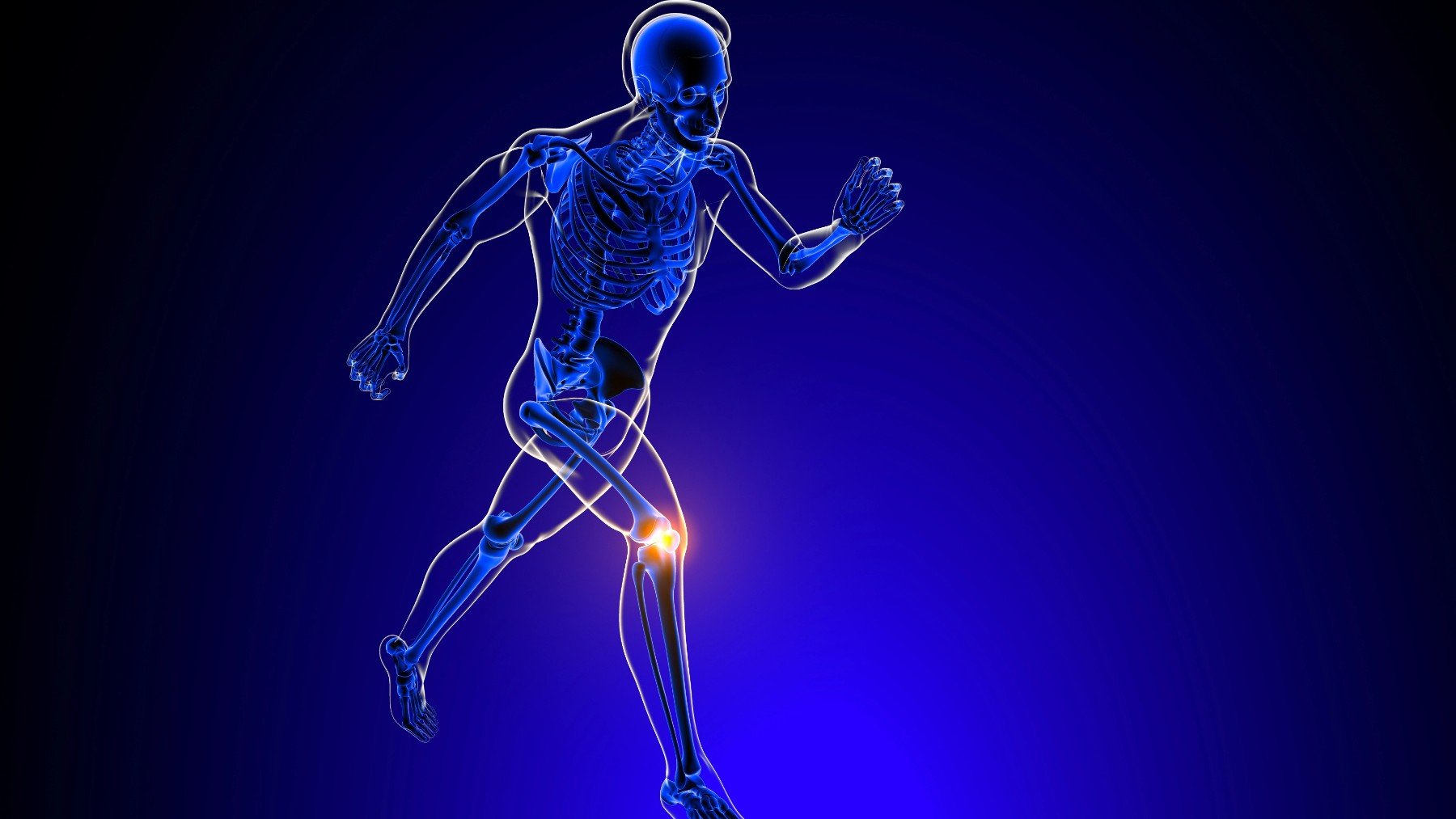 Identifican el desencadenante del dolor de Aquiles, el codo de tenista y la rodilla del saltador