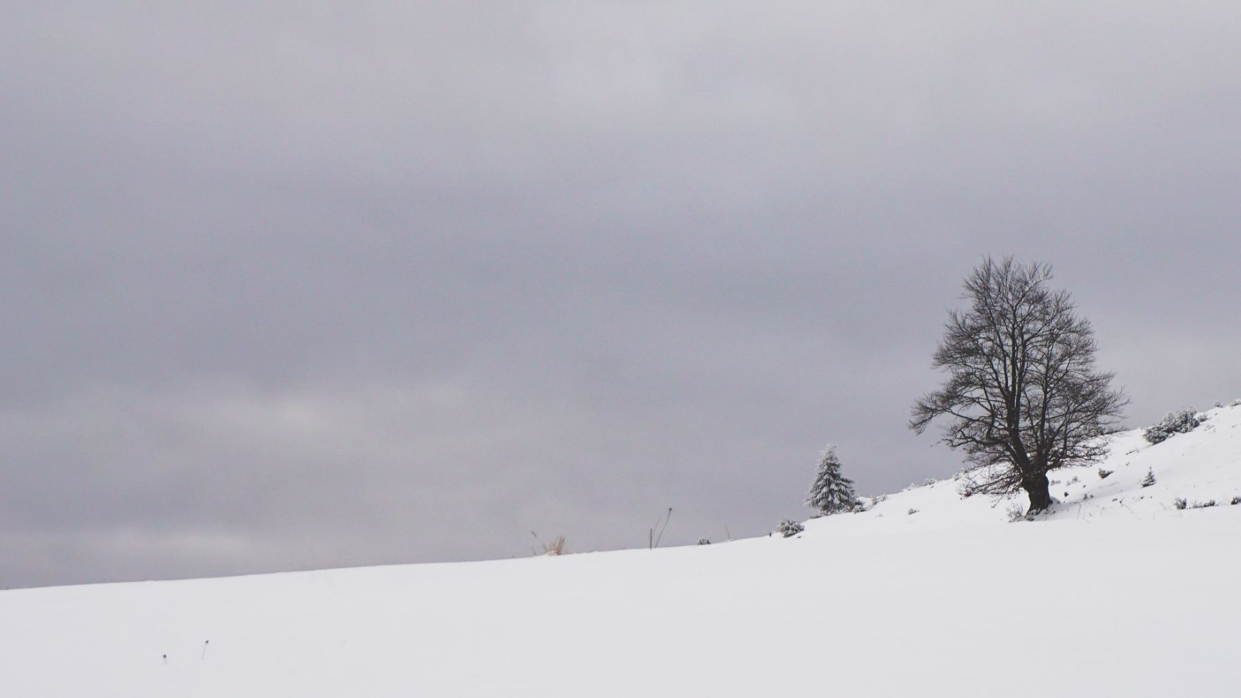 La AEMET avisa por el viento en la Comunidad Valenciana y eleva las posibilidades de nieve