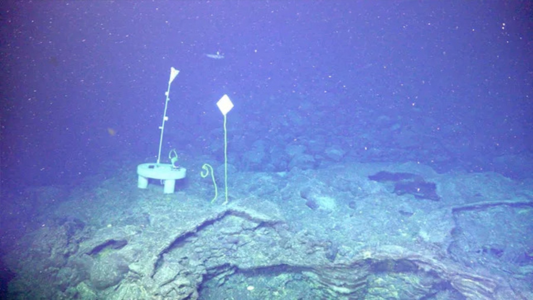 Los expertos no le quitan ojo: predicen la erupción de un gigantesco volcán submarino para este 2026