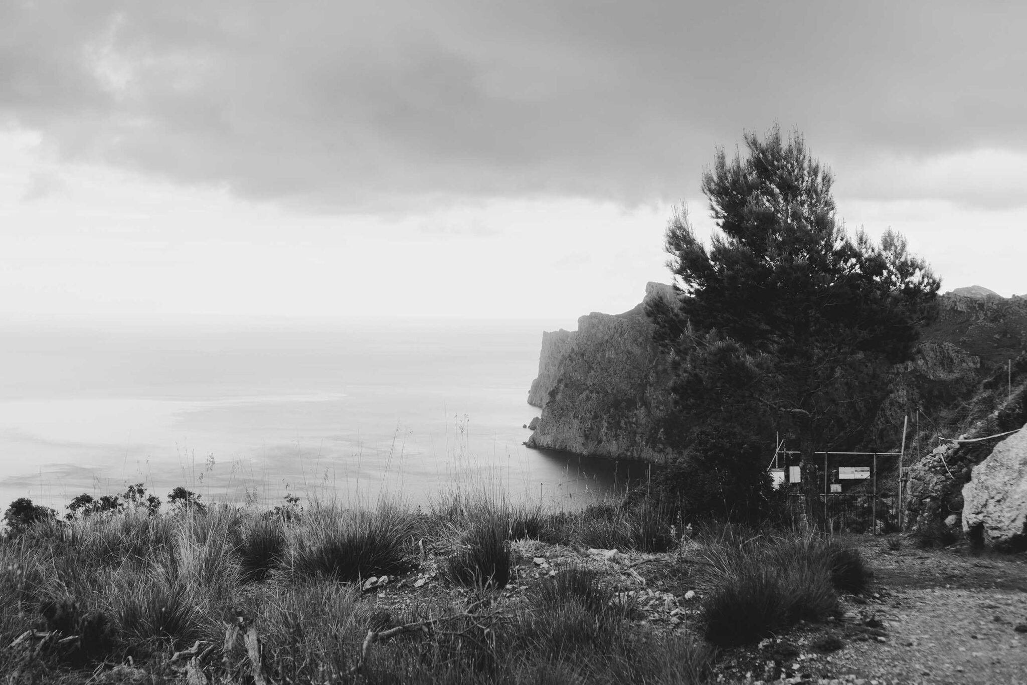 Proyecto Suelo Mallorca. Biennal B (Es Baluard Museu, 2025). (Foto: Carmen Verdú).