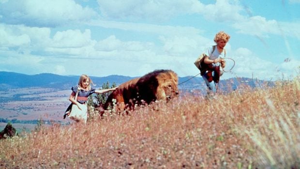 Jodie Foster casi muere le&oacute;n