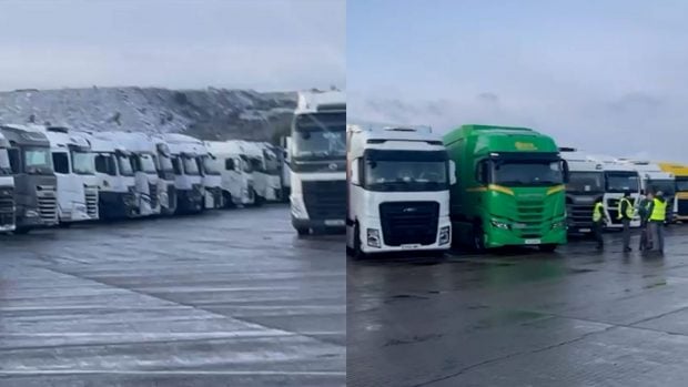 dgt, transportistas, paralizados, suministro, nieve, norte, transporte