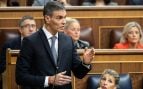 Pedro Sánchez, sánchez congreso