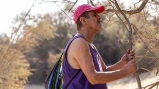 Movistar Goya Maspalomas