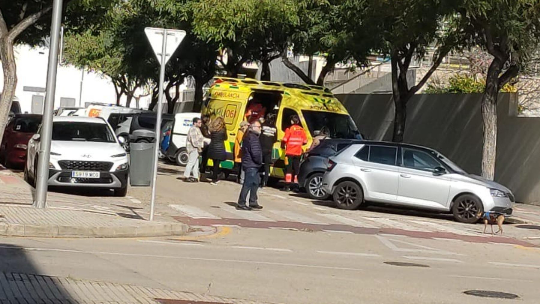 Okupas de la cárcel vieja de Palma asaltan a una mujer mayor a la salida de misa para robarle