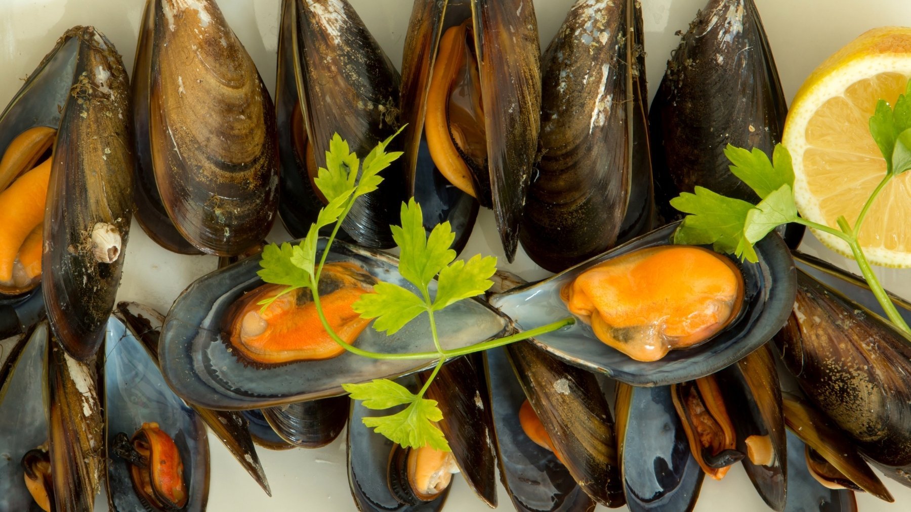 Ni con salsa ni con limón: la mejor forma de tomar el mejillón es ésta