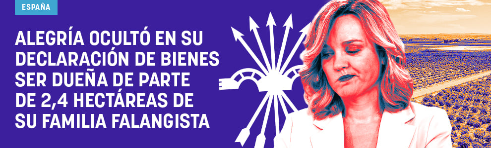 Alegría ocultó en su declaración de bienes ser dueña de parte de 2,4 hectáreas de su familia falangista