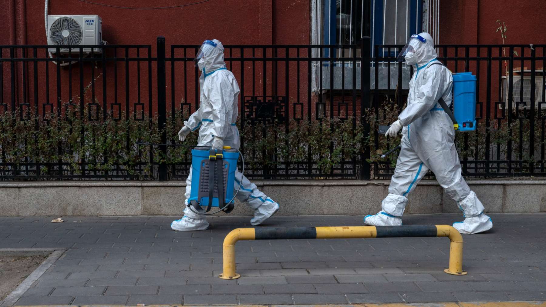 Virus Nipah en India: incurable y con potencial para causar la próxima pandemia