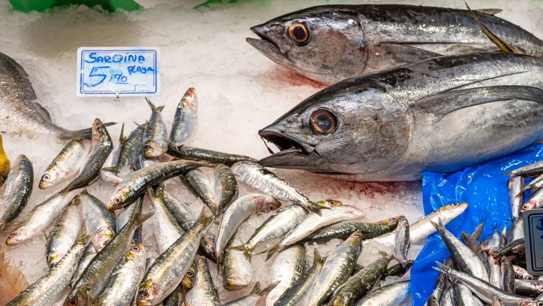 Ésta es la intoxicación por pescado que puede confundirse con una reacción alérgica
