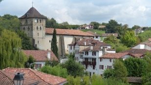 Idioma que sólo se habla en Aragón, variedades del aragonés que van a desaparecer, idioma aragonés más diferente al español, qué es el aragonés belsetano.