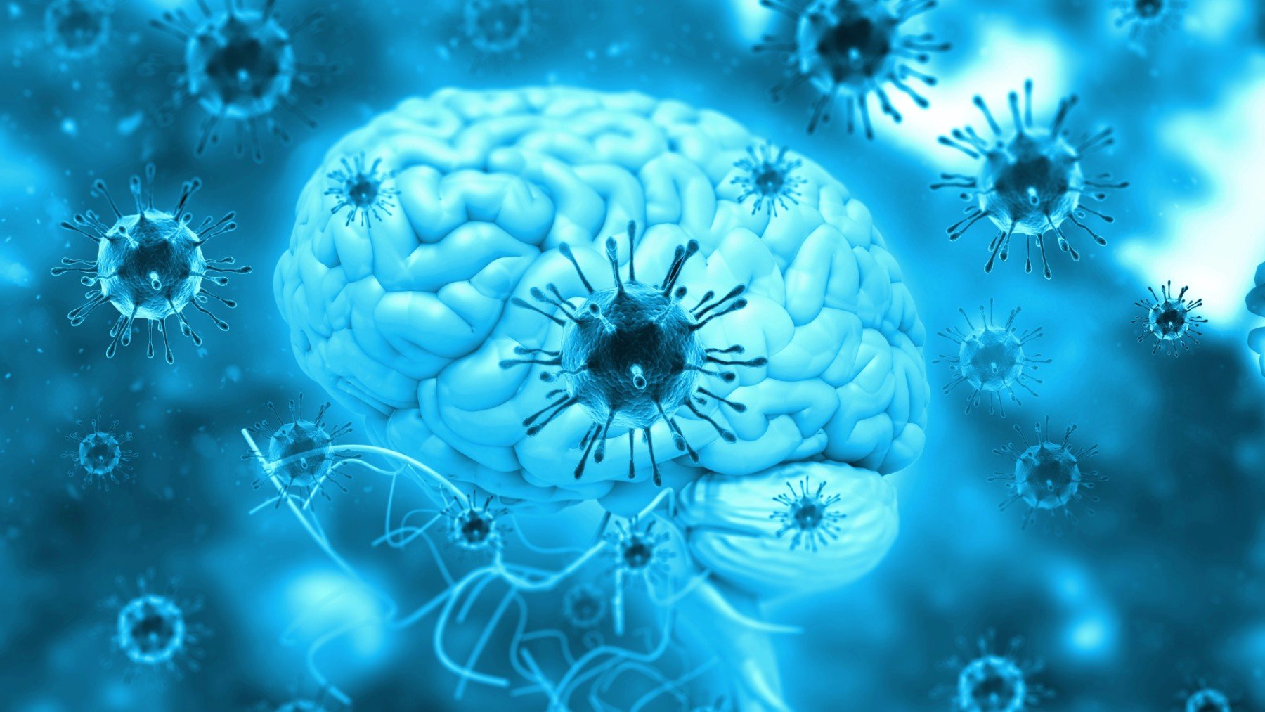 ¿Puede el virus Nipah llegar a España?: el patógeno incurable que circula en India dispara las alarmas