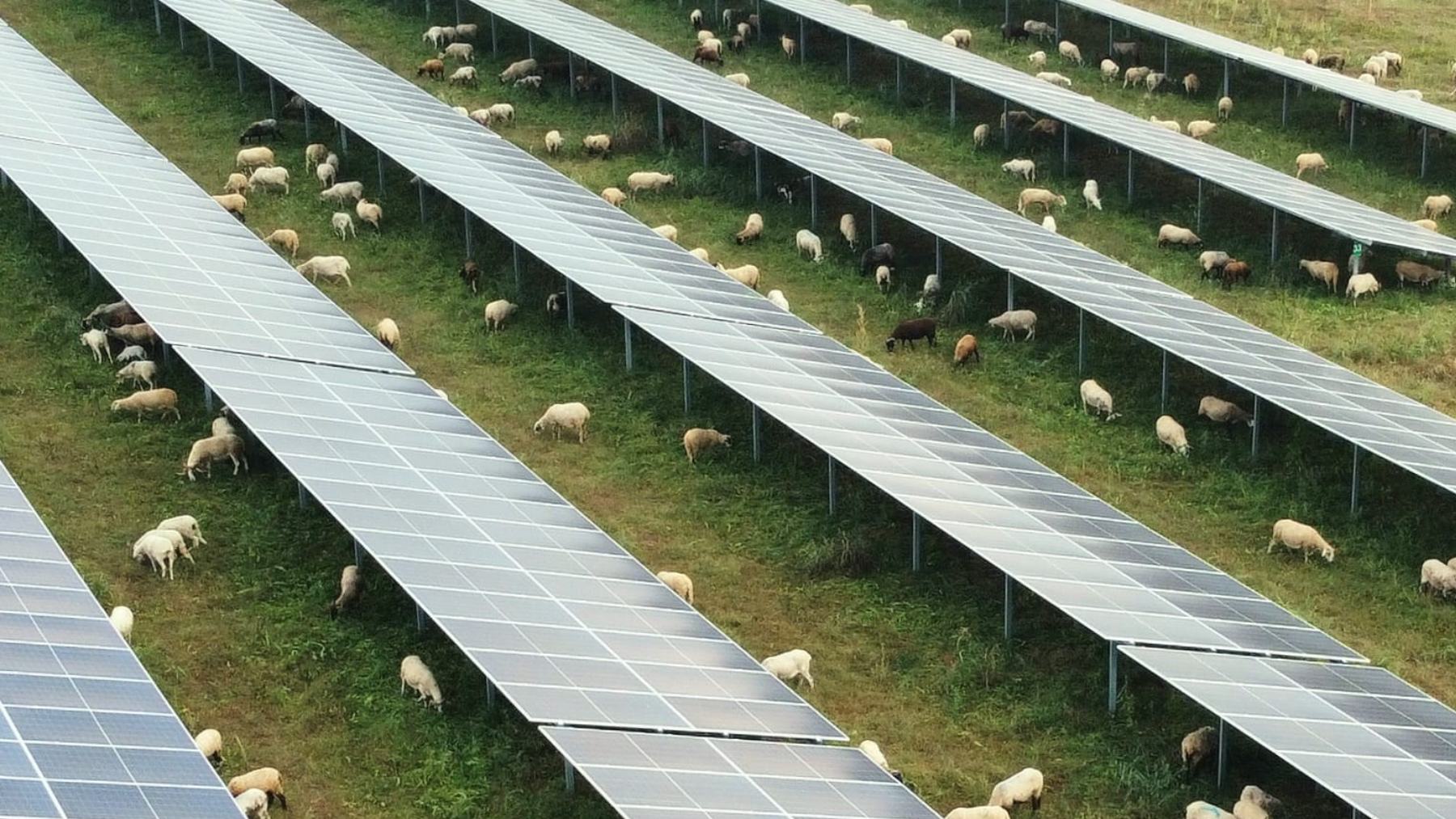 Dos tercios de los españoles apoyan la energía solar fotovoltaica según un estudio de UNEF
