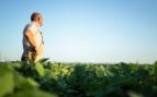 Agricultor en el campo.