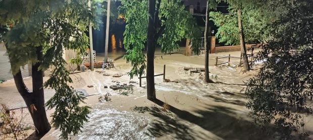 Vox Arag&oacute;n votos 