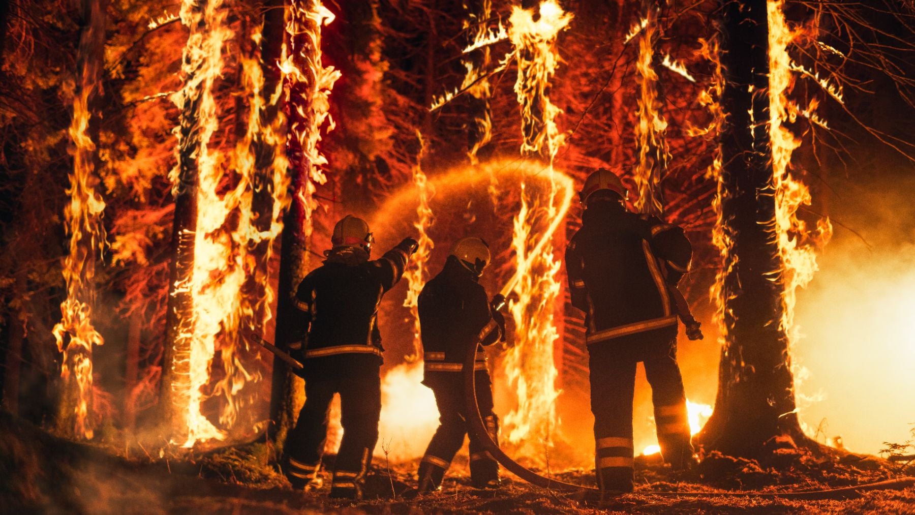 España vivió el pasado 2025 un año trágico en lo que a incendios forestales se refiere.