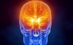 energía magnética cerebro