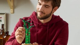 El mejor bambu botanical