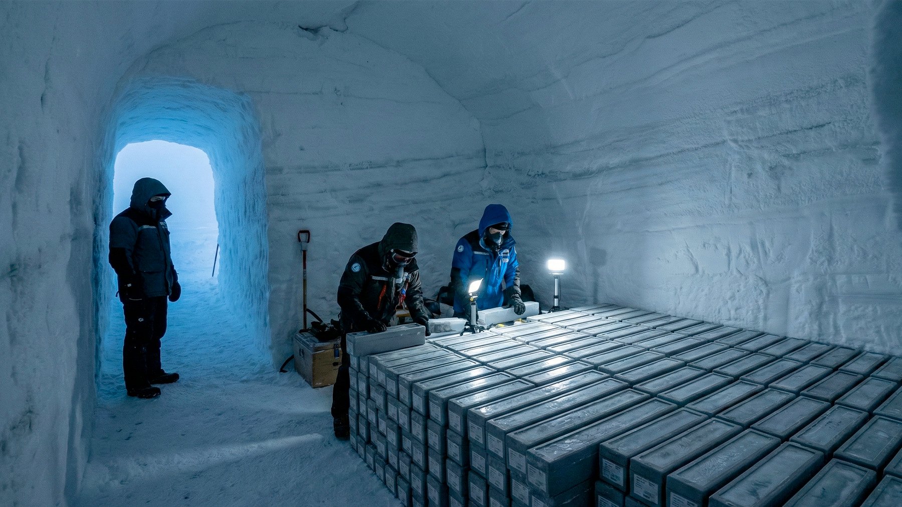 Suena insólito, pero los investigadores acaban de crear una