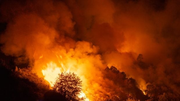 Fuego contra el fuego: As&iacute; se protegen estos pueblos originarios americanos de los incendios forestales