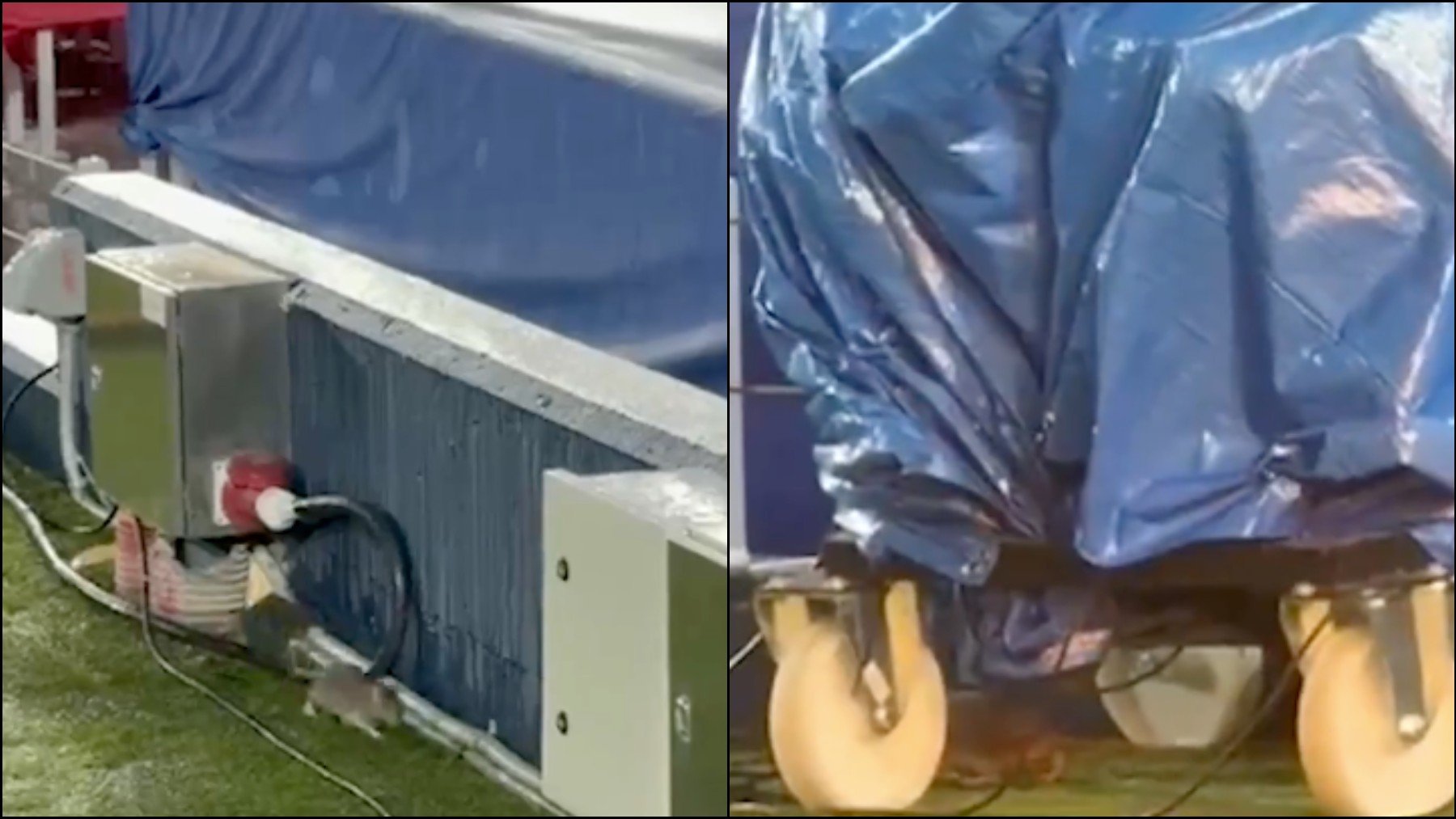 Las ratas invaden el césped del Camp Nou antes del partido de Champions contra el Copenhague