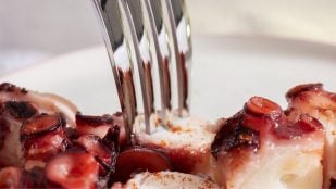 Pulpo, truco, truco de cocina