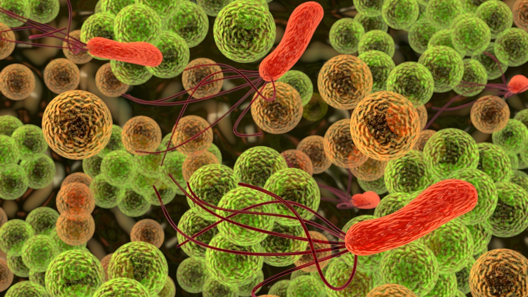 Crean bacterias con biosensores que