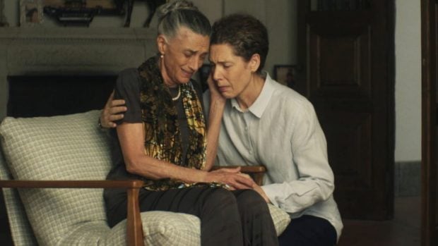 Yellowstone Pura sangre