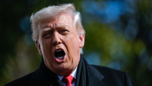 Donald Trump, Estados Unidos, Jeffrey Epstein