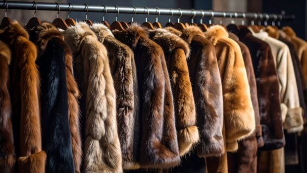 Los abrigos de piel se han puesto de moda entre los m&aacute;s j&oacute;venes seg&uacute;n el sector peletero.